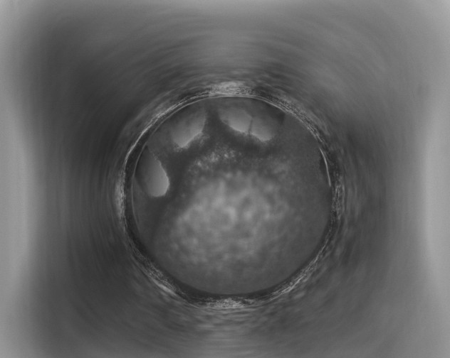 X0000116000290200911251106