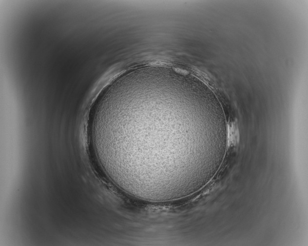 X0000116000291200911251106