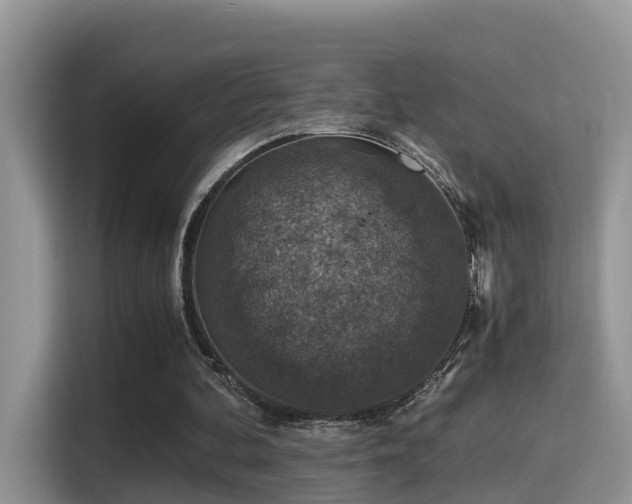 X0000116000292200911251106