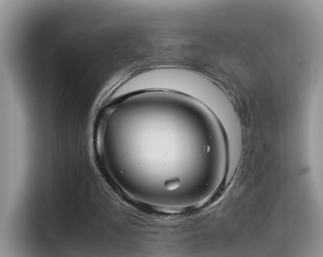 X0000116000293200911251106