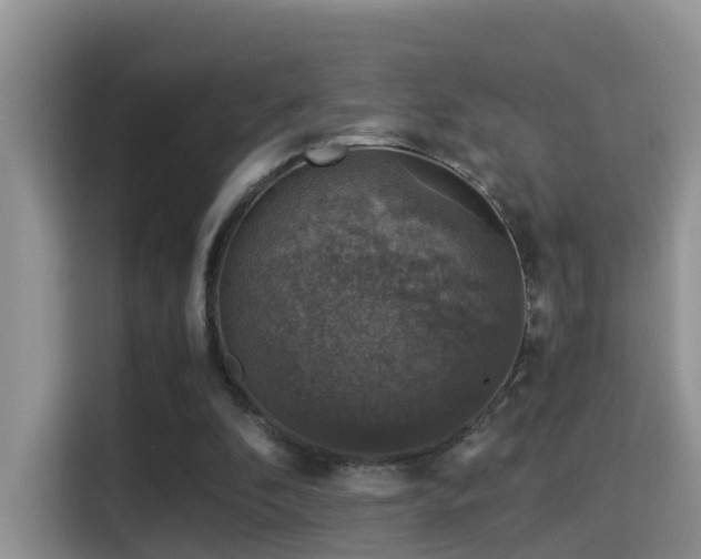 X0000116000296200911251106