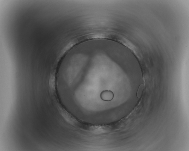 X0000116000297200911251106