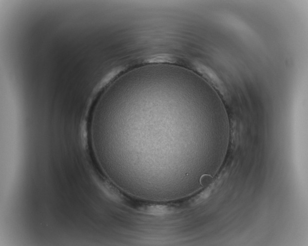 X0000116000298200911251106