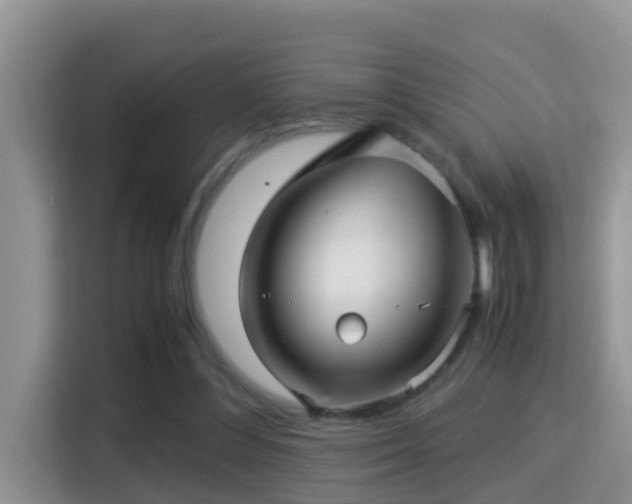 X0000116000300200911251106