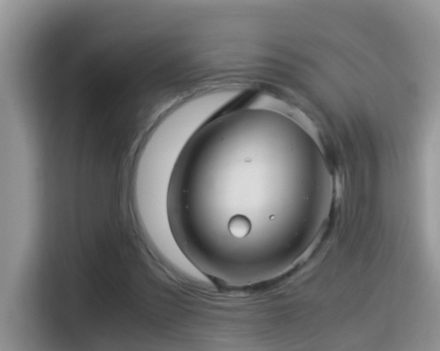 X0000116000301200911251106