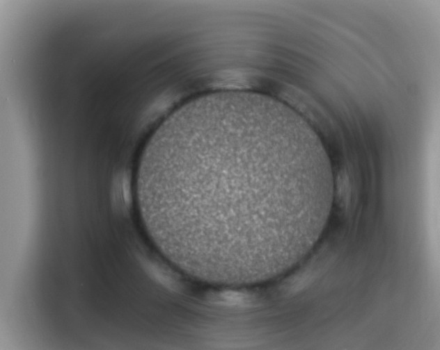 X0000116000302200911251106