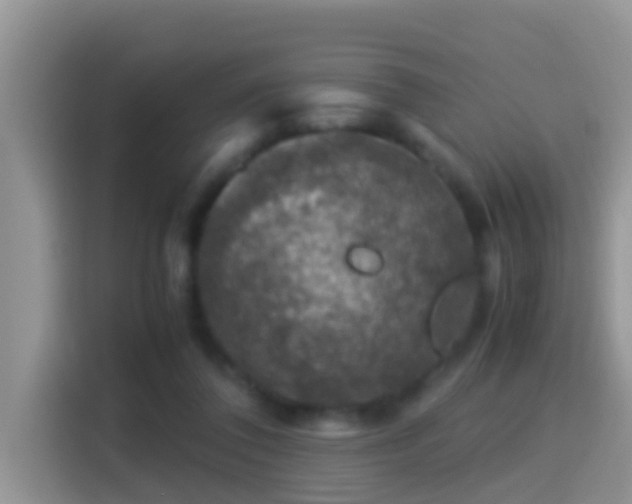 X0000116000308200911251106