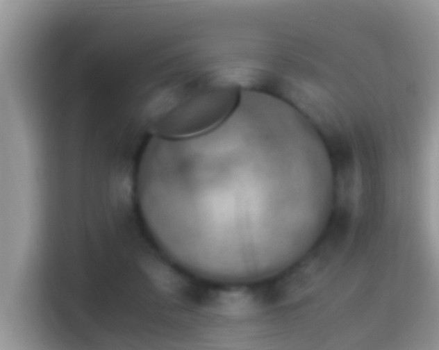 X0000116000309200911251106