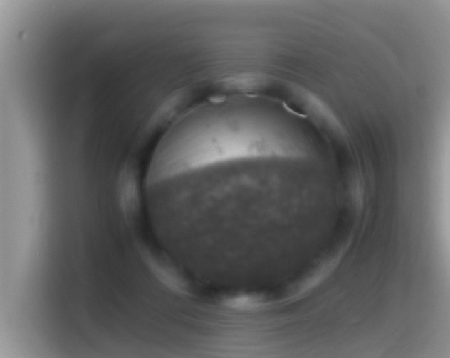 X0000116000312200911251105