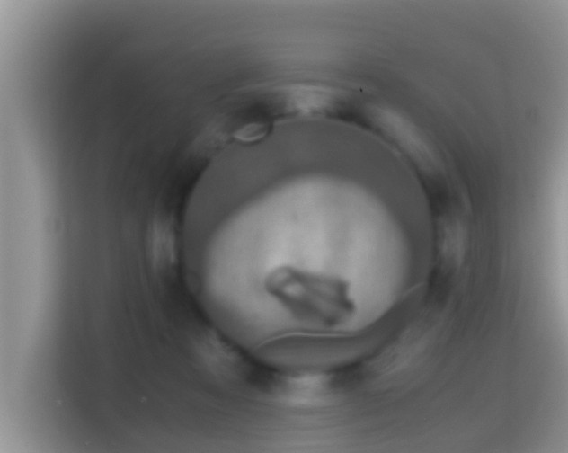 X0000116000313200911251105