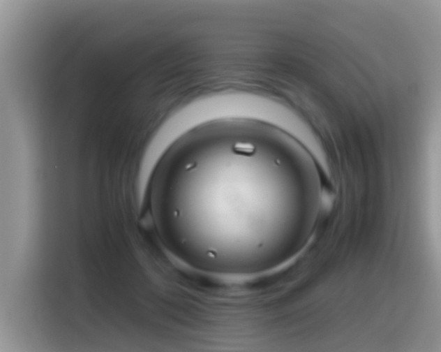 X0000116000316200911251105