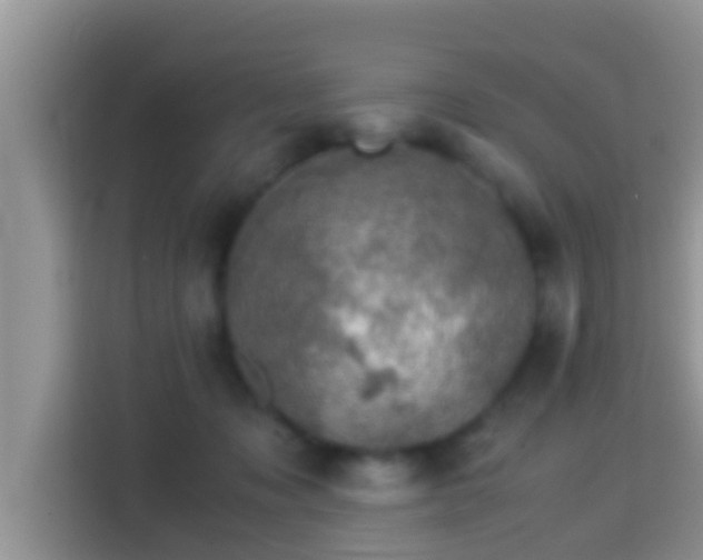 X0000116000317200911251105