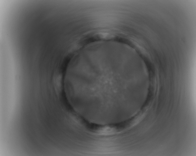 X0000116000319200911251105