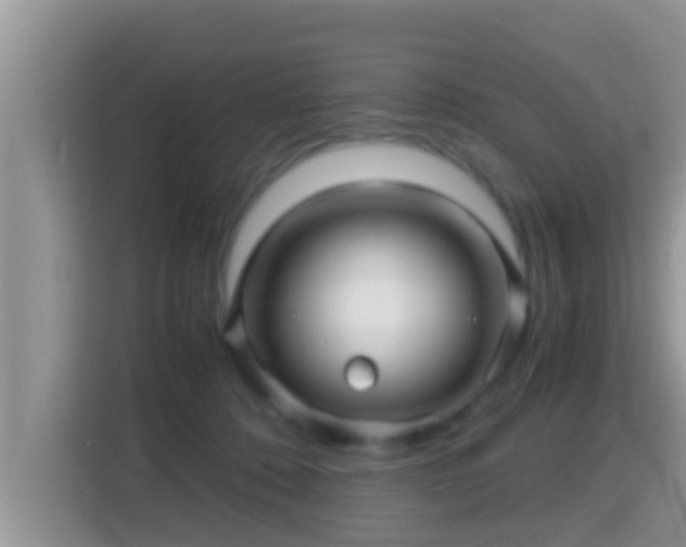 X0000116000320200911251105