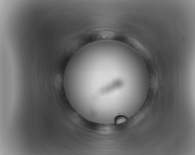 X0000116000321200911251105