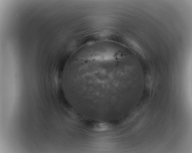 X0000116000324200911251105