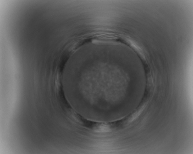 X0000116000325200911251105