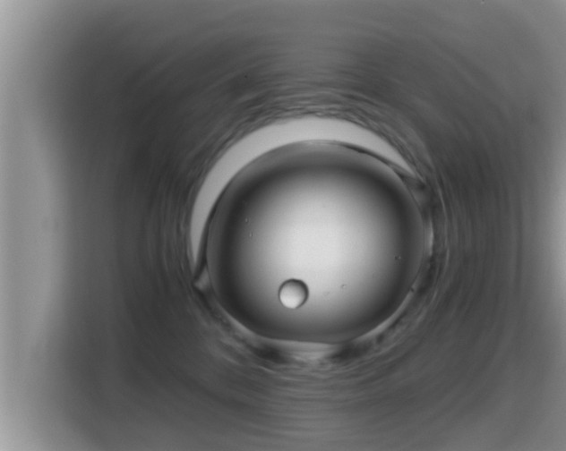 X0000116000328200911251105