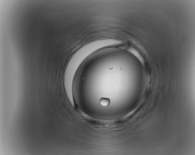 X0000116000329200911251105