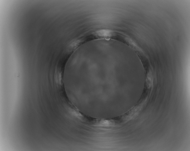 X0000116000330200911251105