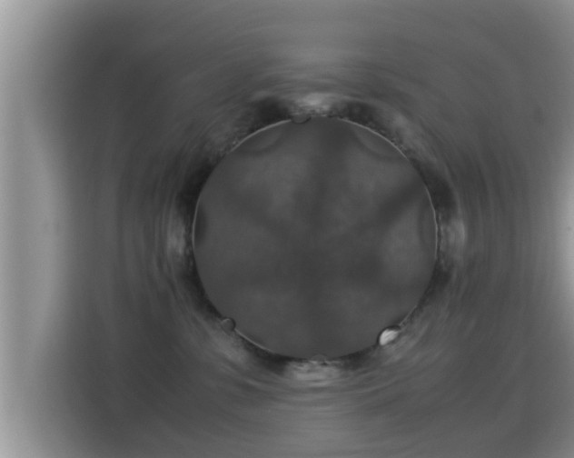 X0000116000331200911251105