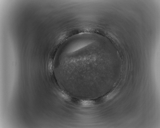 X0000116000336200911251105