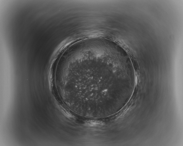 X0000116000339200911251105