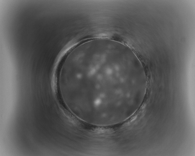 X0000116000343200911251105