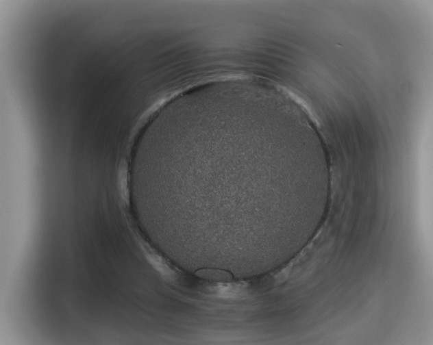 X0000116000345200911251105