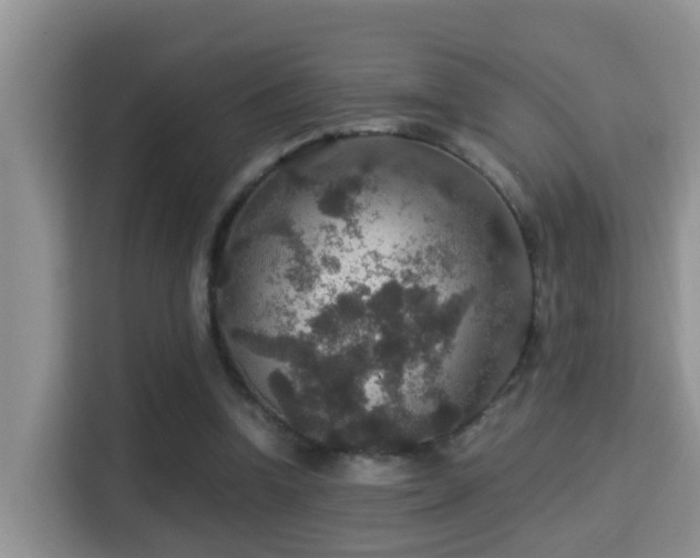 X0000116000346200911251105