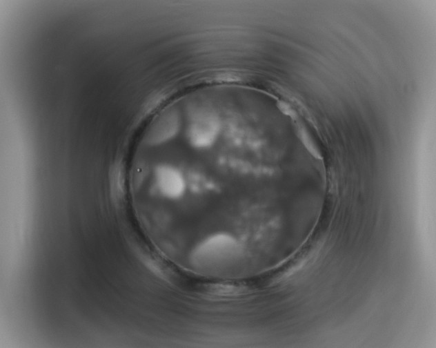 X0000116000347200911251105