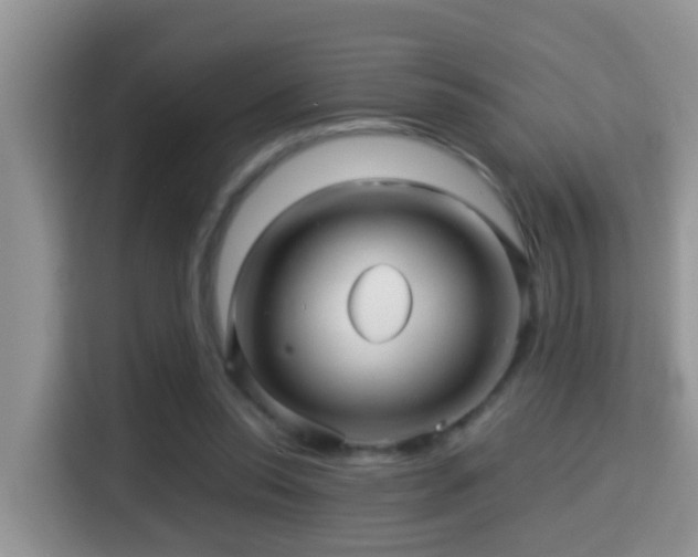 X0000116000350200911251105