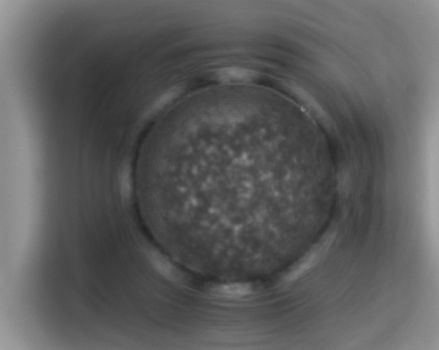 X0000116000353200911251105