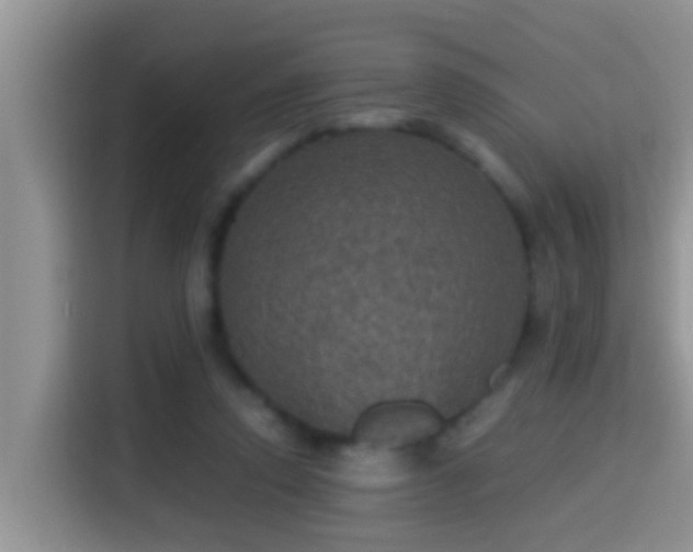 X0000116000354200911251105