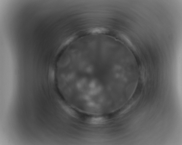 X0000116000357200911251105