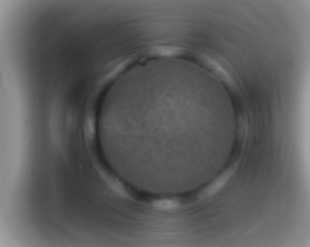 X0000116000358200911251105