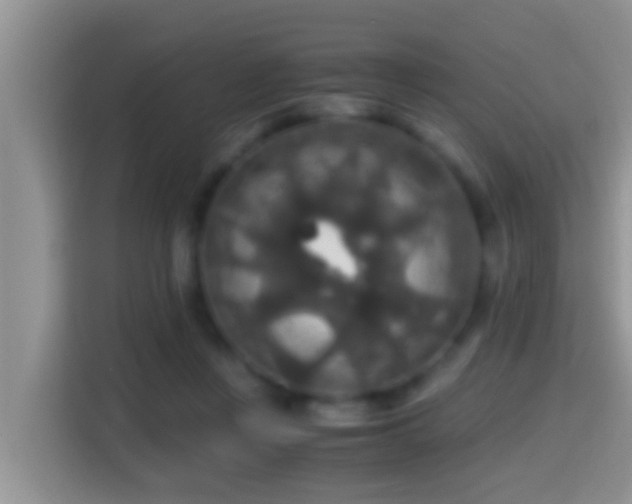 X0000116000359200911251105