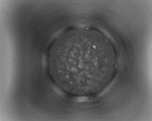 X0000116000361200911251105