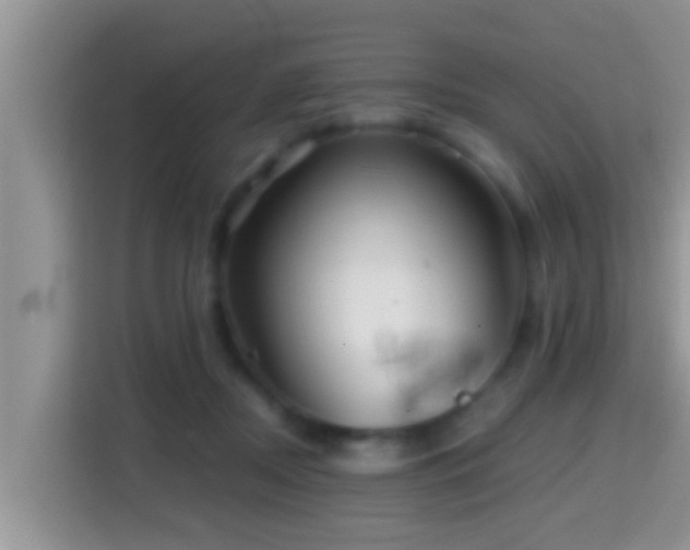 X0000116000362200911251105