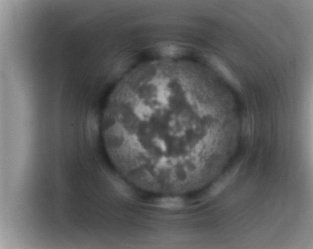 X0000116000363200911251105