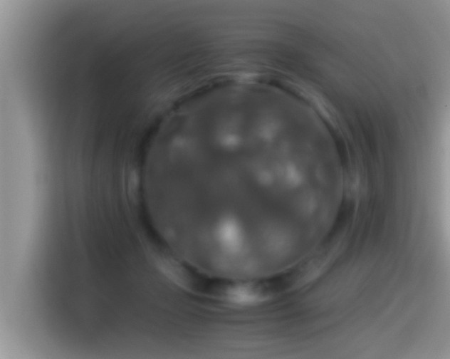 X0000116000365200911251105