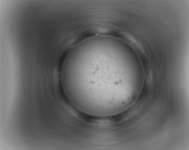 X0000116000366200911251105