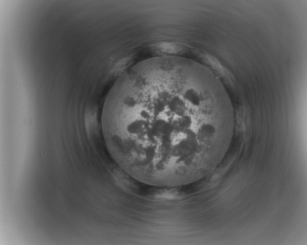 X0000116000377200911251105