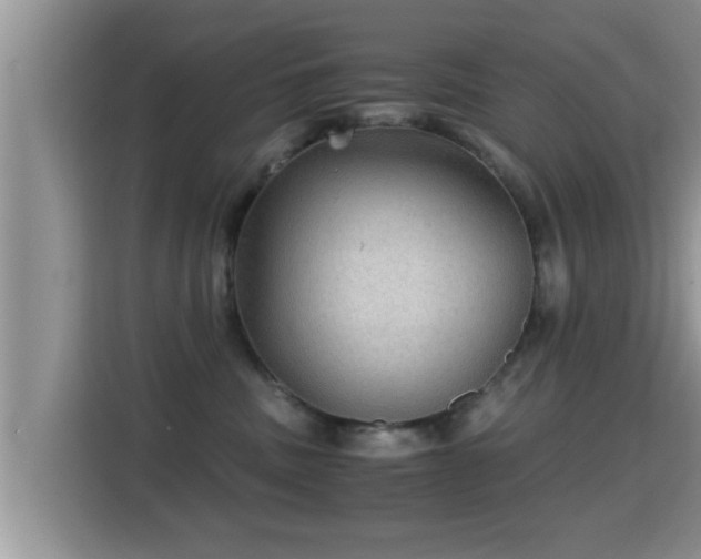 X0000116000379200911251105