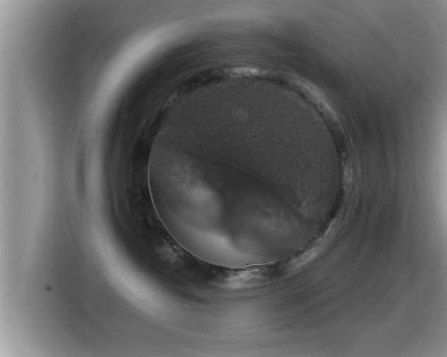 X0000116000382200911251105