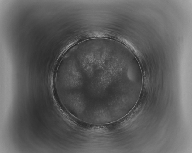 X0000116000386200911251105