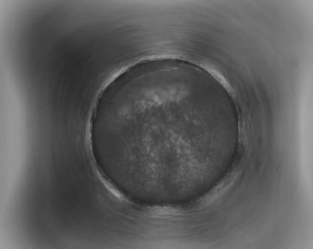 X0000116000389200911251104