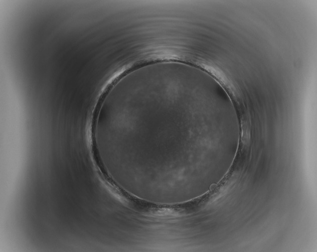 X0000116000390200911251104