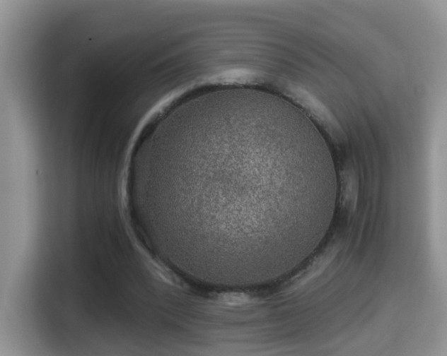 X0000116000392200911251104