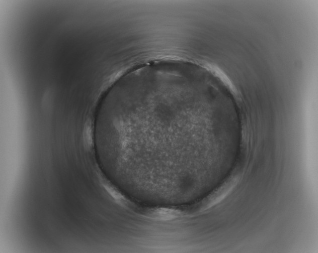 X0000116000393200911251104